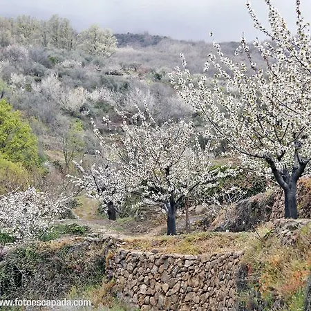 El Yedron Отель Альдеануэва-де-ла-Вера
