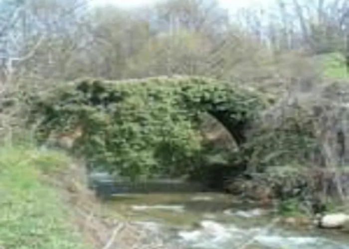 Отель El Yedron Альдеануэва-де-ла-Вера