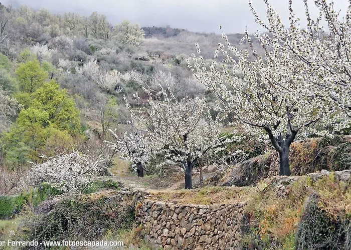 El Yedron Отель Альдеануэва-де-ла-Вера