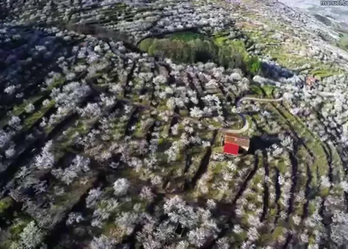 Отель El Yedron Альдеануэва-де-ла-Вера